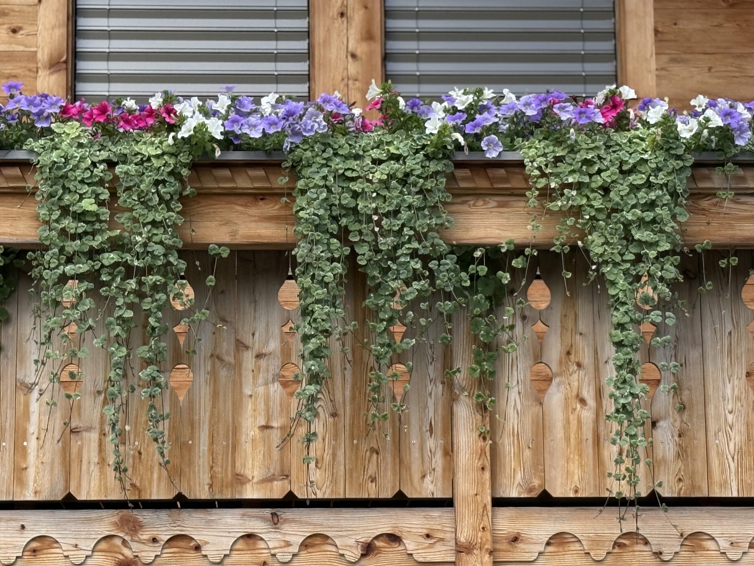 Balkon Bepflanzungen erstellen