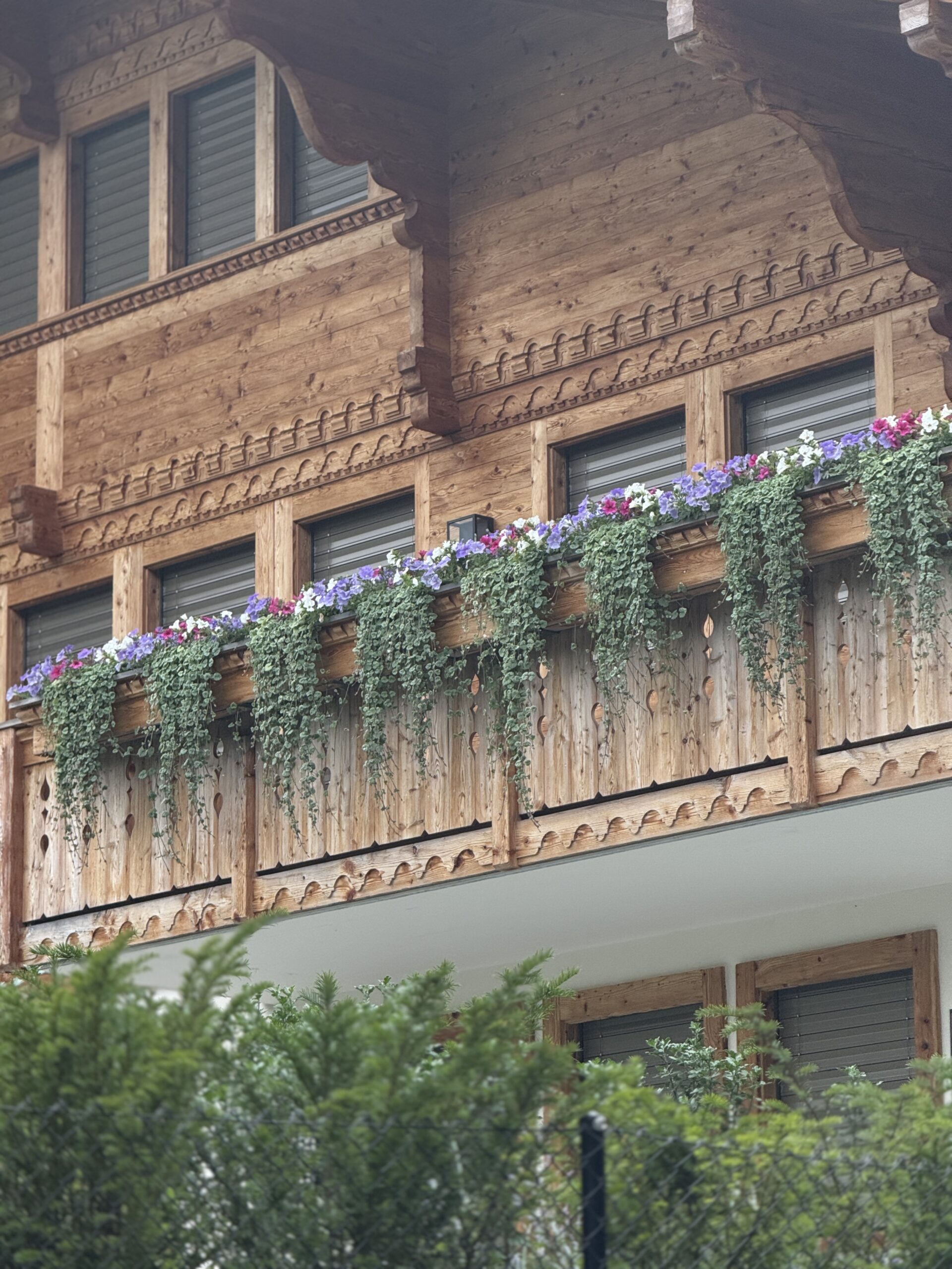 Balkon Bepflanzungen erstellen