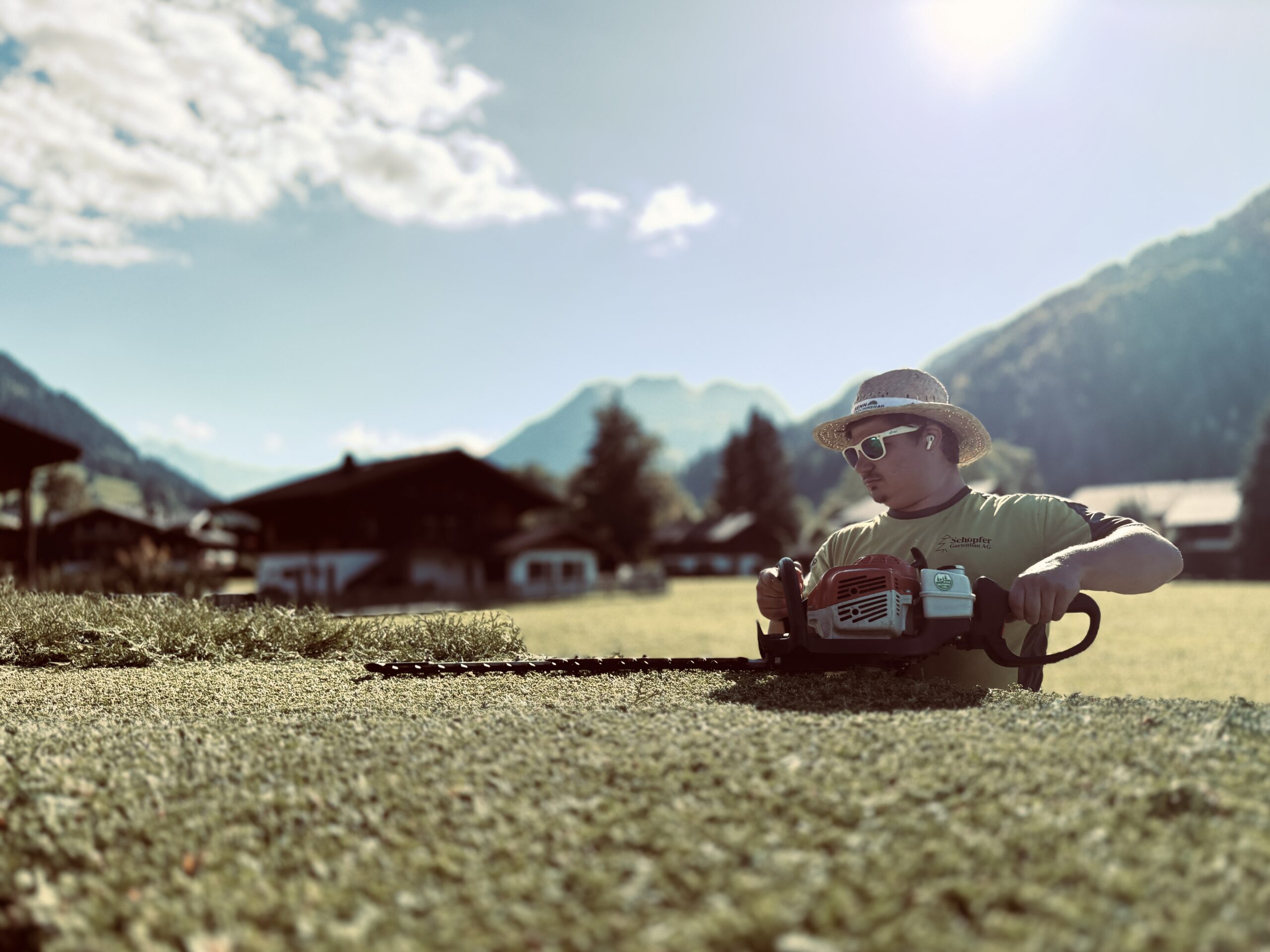 Tannenhecke schneiden jeglichen grössen